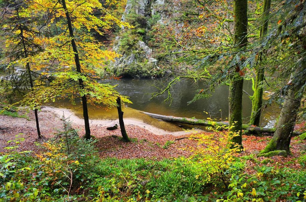 Meuble Pour 5 Pers - Hautes Vosges Тьефосс Экстерьер фото